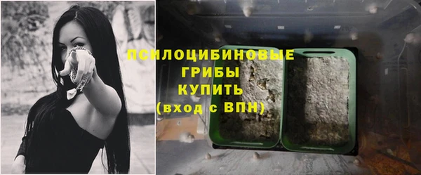 прущая мука Иннополис