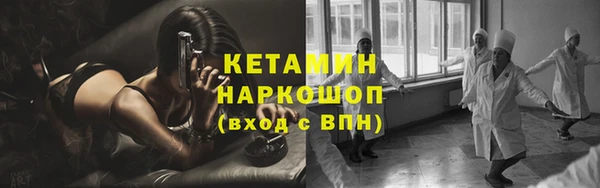 spice Инта