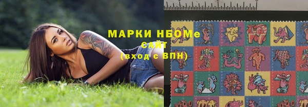 spice Инта